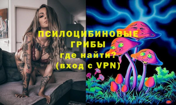 mdpv Белокуриха
