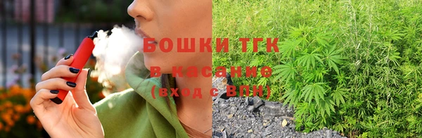 спайс Тавда