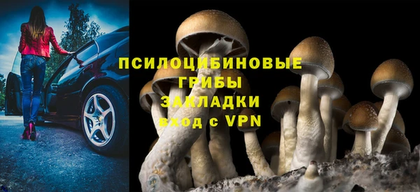 2c-b Бронницы