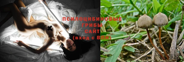не бодяженный Богданович